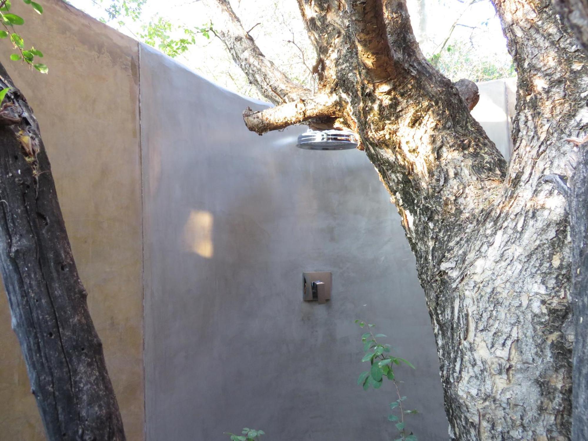 Naledi Lodges 巴卢莱自然保护区 外观 照片